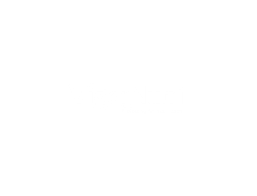 VigorNutri — Protecting Animal Health